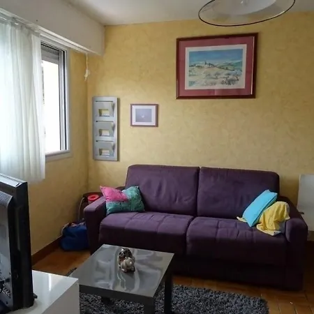 Les Goelettes Appartement *